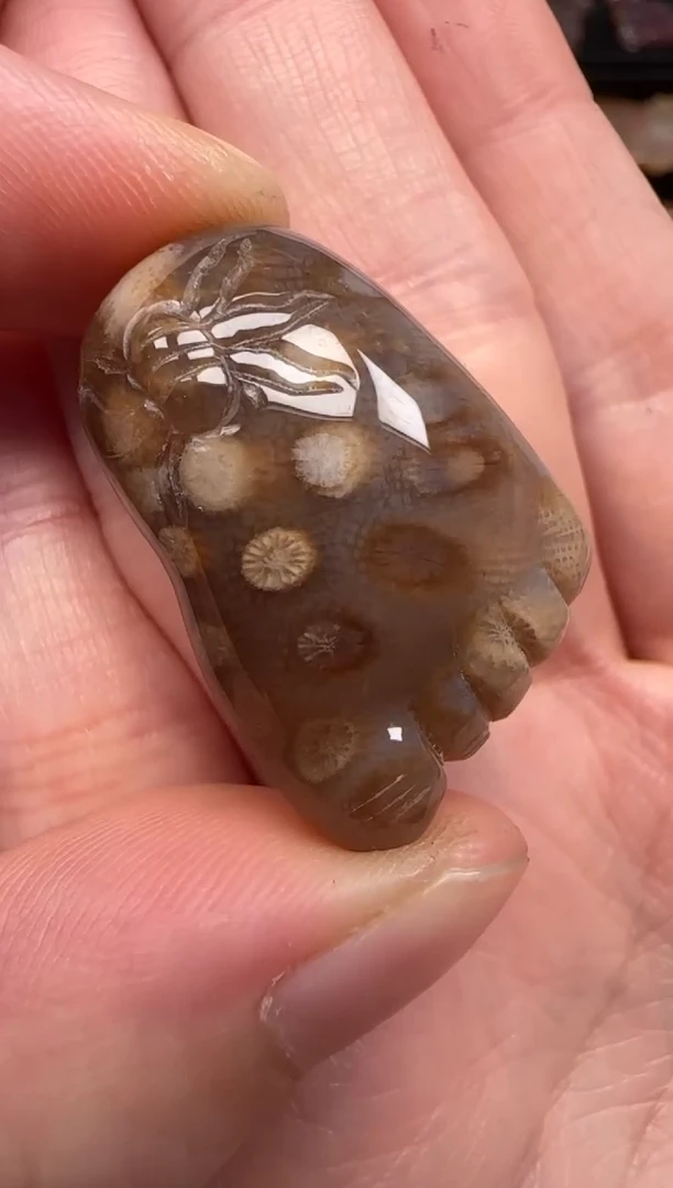 硅化珊瑚（珊瑚玉）未镶嵌颈饰403