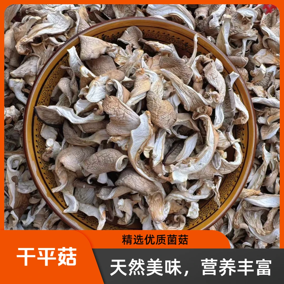 新鲜干平菇菌菇干货可煲汤炖肉炒菜的养生食材