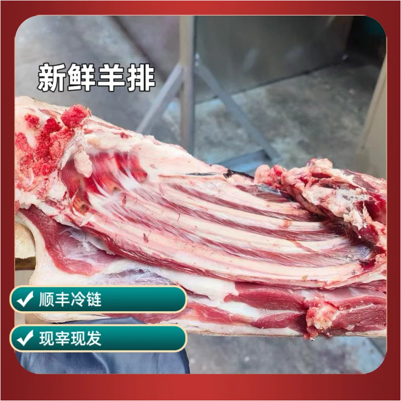 小耳朵黑山羊云南小耳朵黑山羊现宰现发顺丰冷链包邮