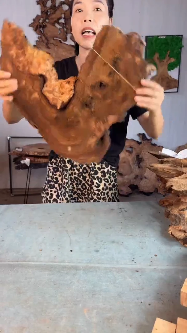 香杉木杉木瘤随型【原料】006