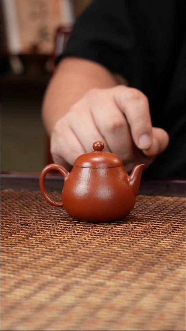 茶壶紫砂汀禾紫砂