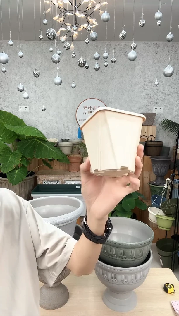 小号控根盆米兰黄20只