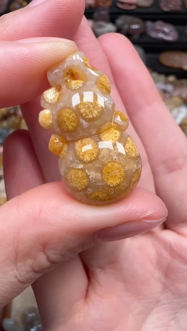 颈饰未镶嵌硅化珊瑚（珊瑚玉）823