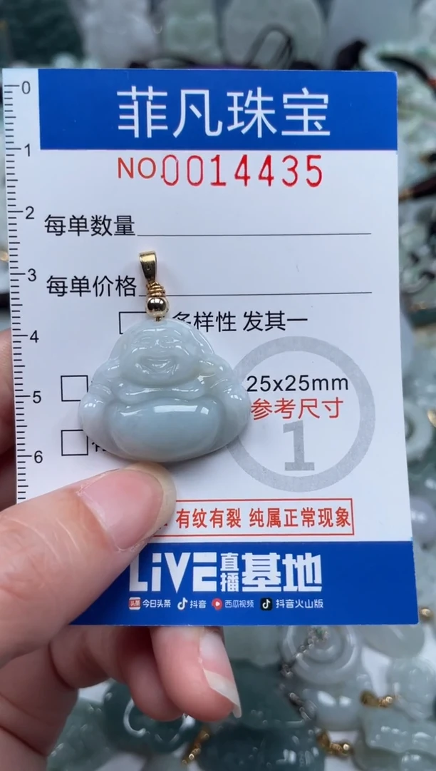 颈饰未镶嵌翡翠14435