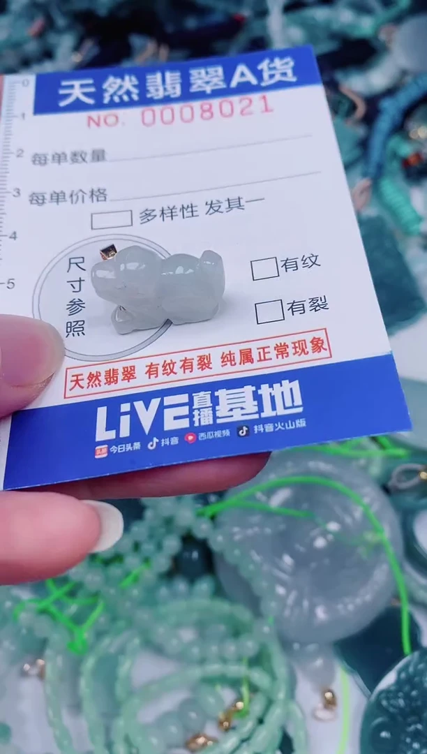 颈饰未镶嵌翡翠00008021