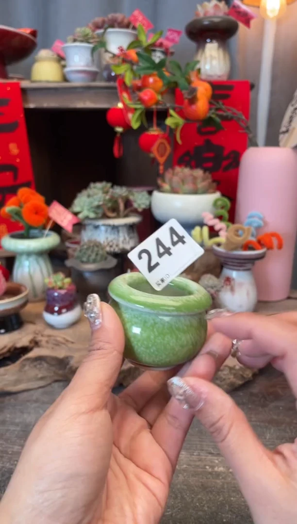 【闪购商品】摆件244知木小芳花盆