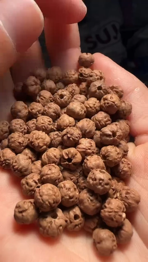 手串金刚菩提非全品原桩佛手散籽7-8mm一份一百颗