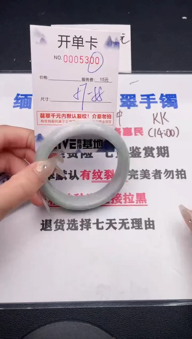 未镶嵌手镯翡翠00