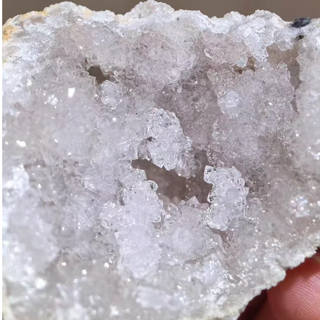 天然摩洛哥专拍链接