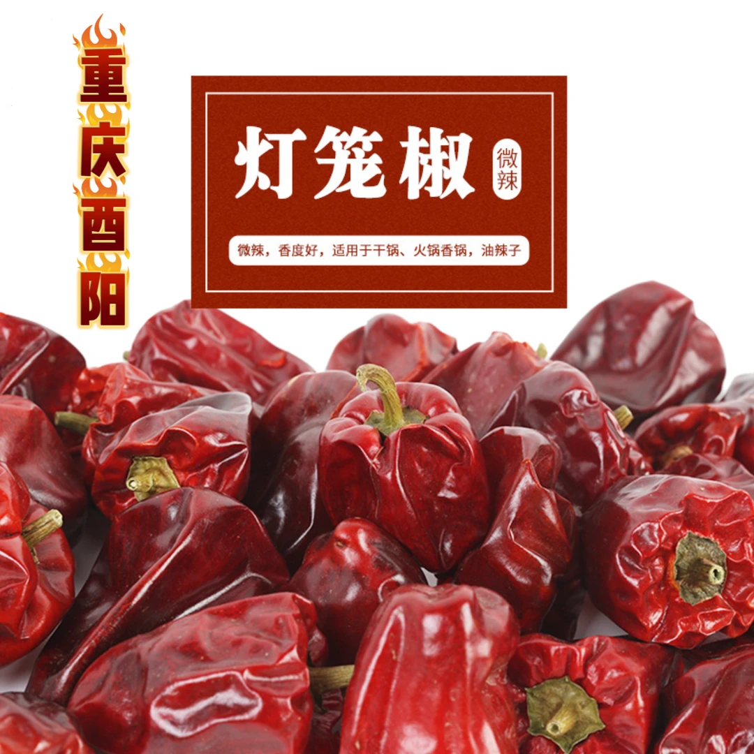 农家灯笼辣椒微辣自然晒干无硫无干燥剂只香不辣圆珠子椒灯笼椒
