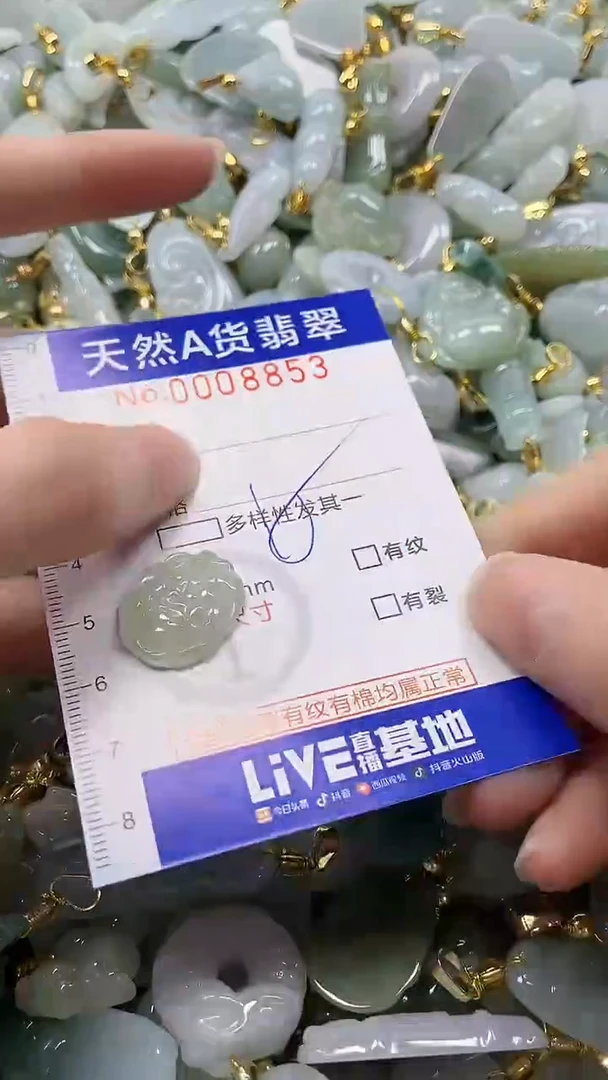 颈饰未镶嵌翡翠纯天然a货翡翠