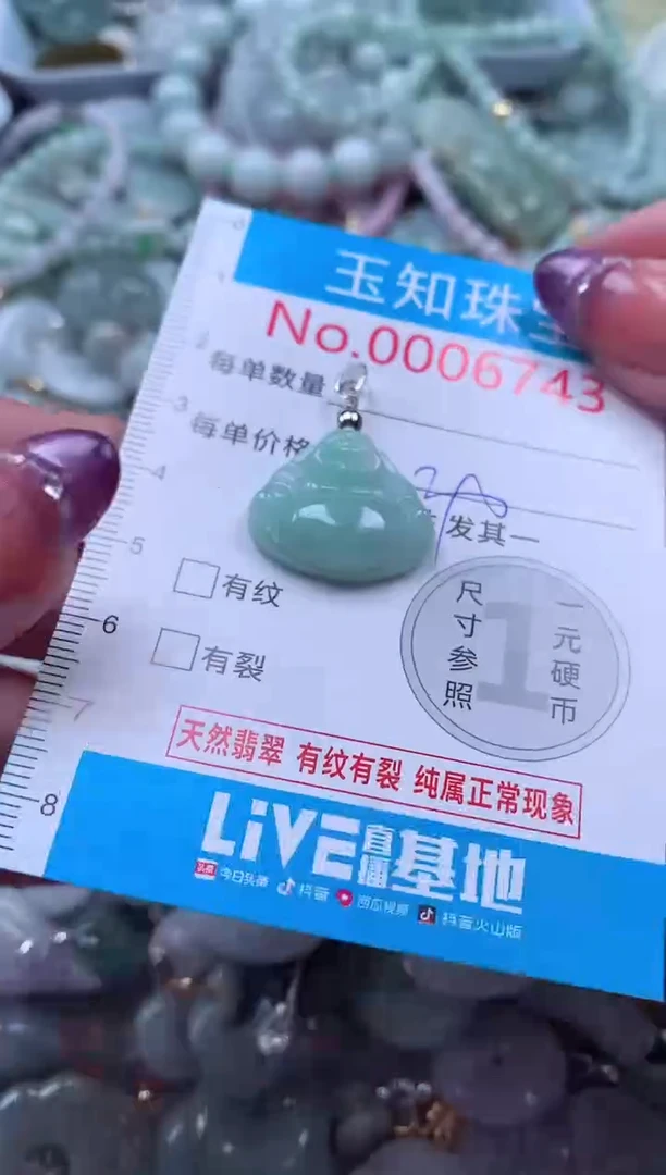 翡翠未镶嵌吊坠(不含链)6743