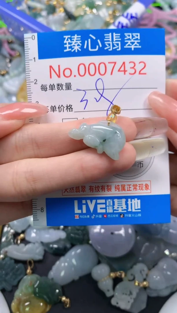 翡翠未镶嵌颈饰7432