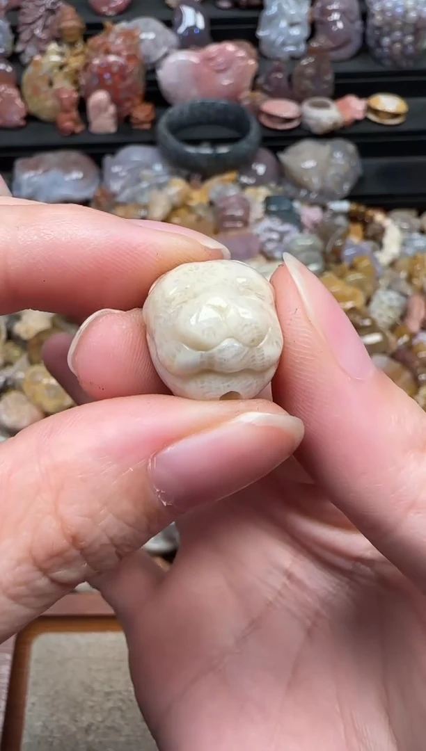 颈饰未镶嵌硅化珊瑚（珊瑚玉）357