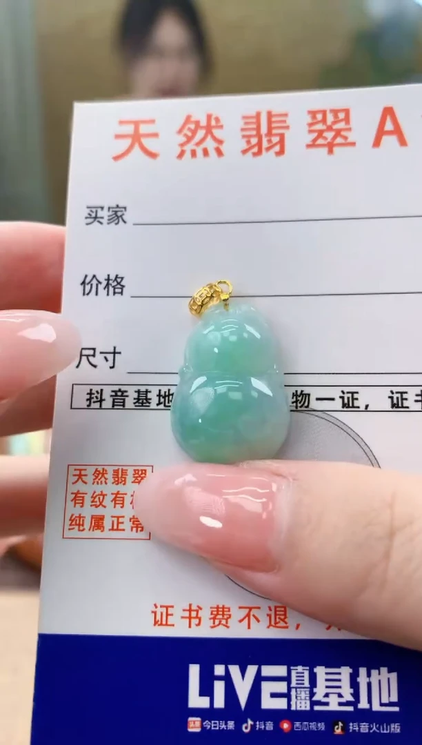 颈饰未镶嵌翡翠天然A货翡翠挂件