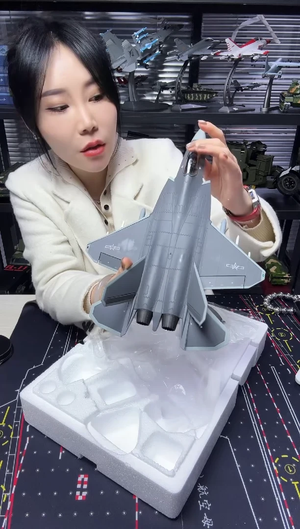 1/48合金飞机模型歼31