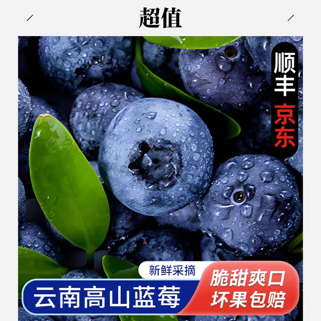 云南高山新鲜蓝莓脆甜花果香新鲜采摘蓝莓云南省