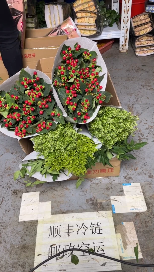 九星叶+黄莺+绿林草+红豆