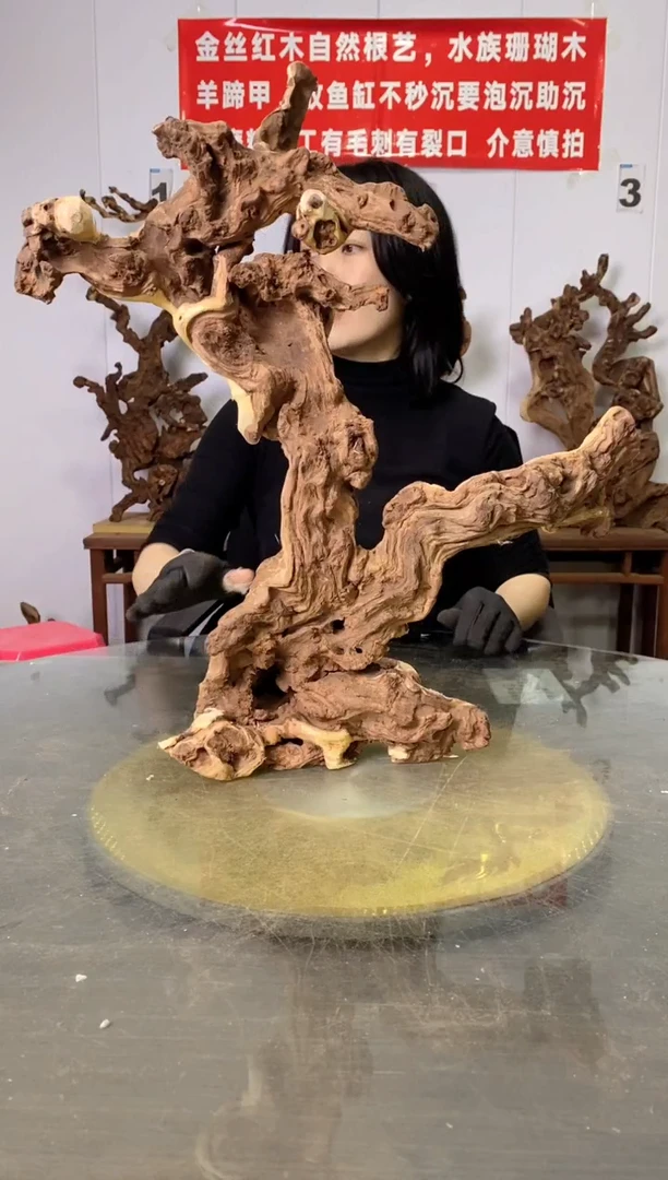 【闪购商品】木金丝红木 羊蹄甲