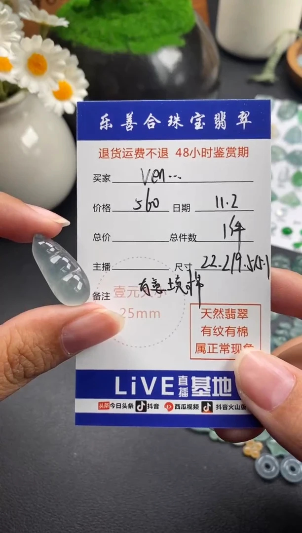 颈饰未镶嵌翡翠V****n冰种福豆