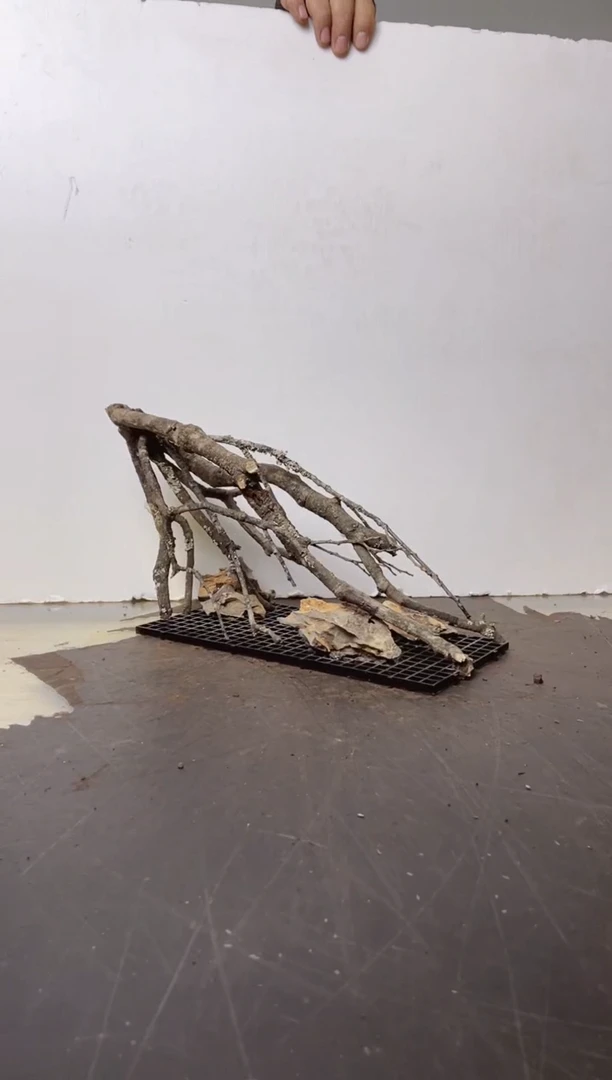 【闪购商品】A002木光沉木木光沉木