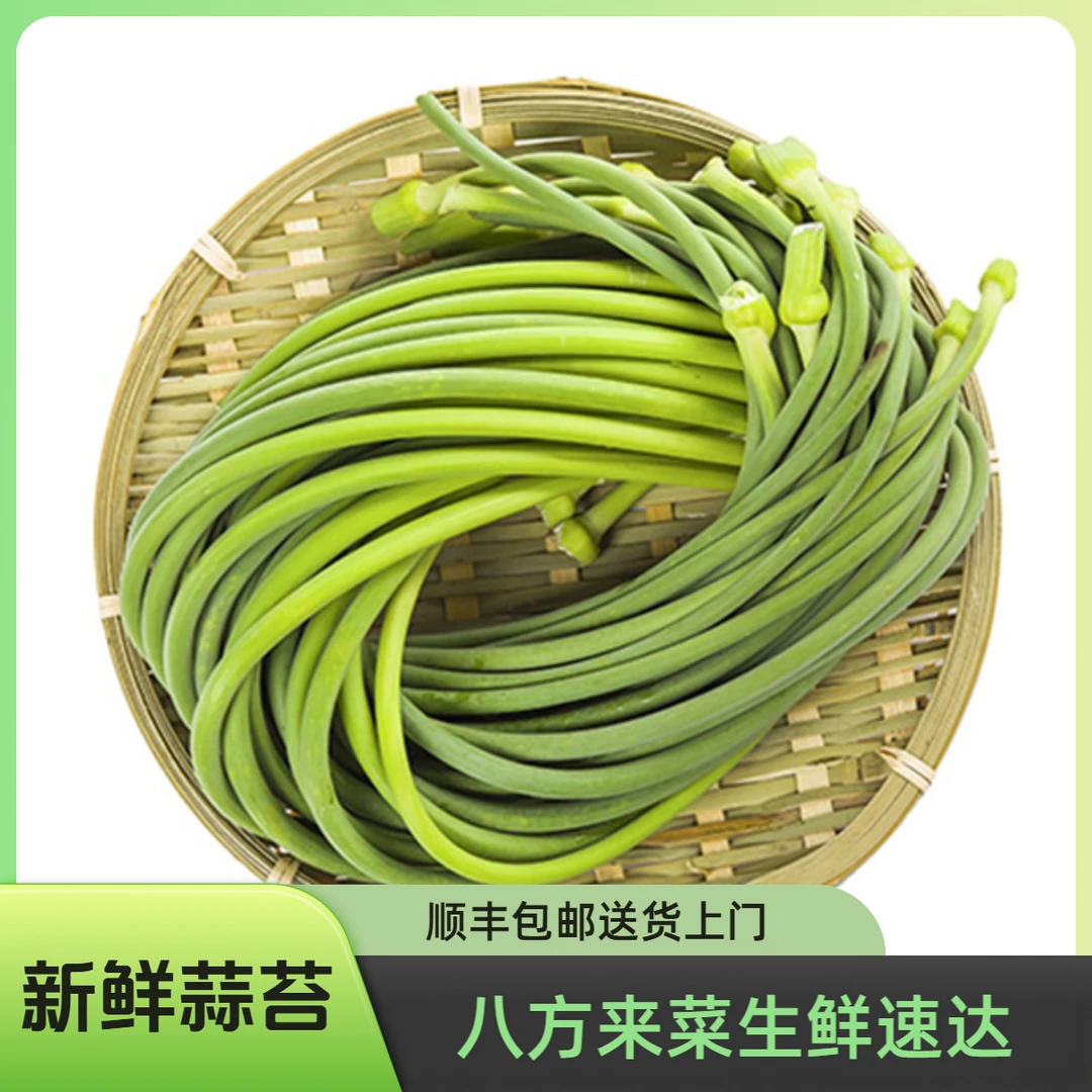 蒜苔 约300g±10g/份（白茬，长短均匀）蒜薹