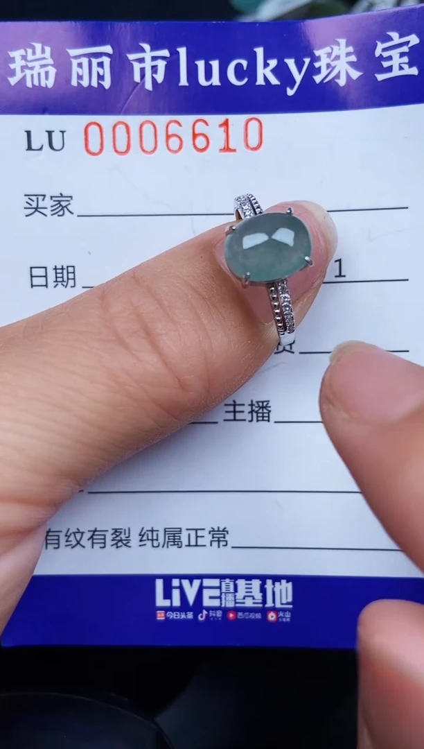 翡翠银S925镶嵌颈饰6610