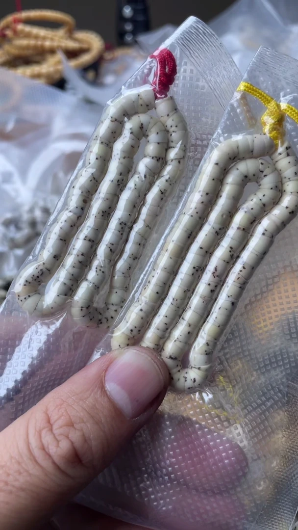 【闪购商品】星月菩提手串星月菩提石玉料骨瓷白卡6数星星（微氧化）