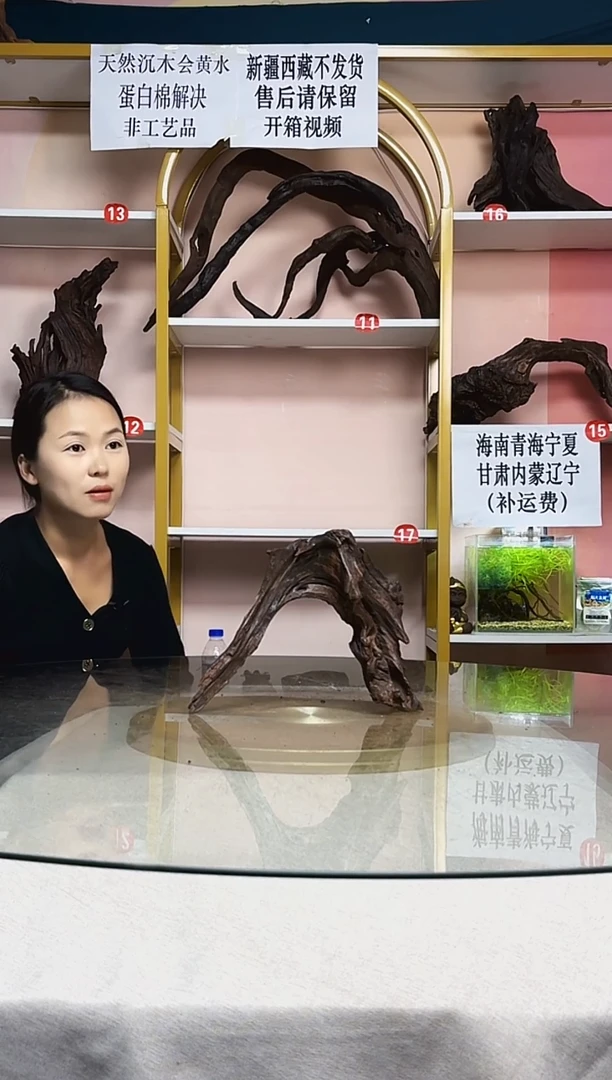 阿***诺紫柚木一物一拍A643