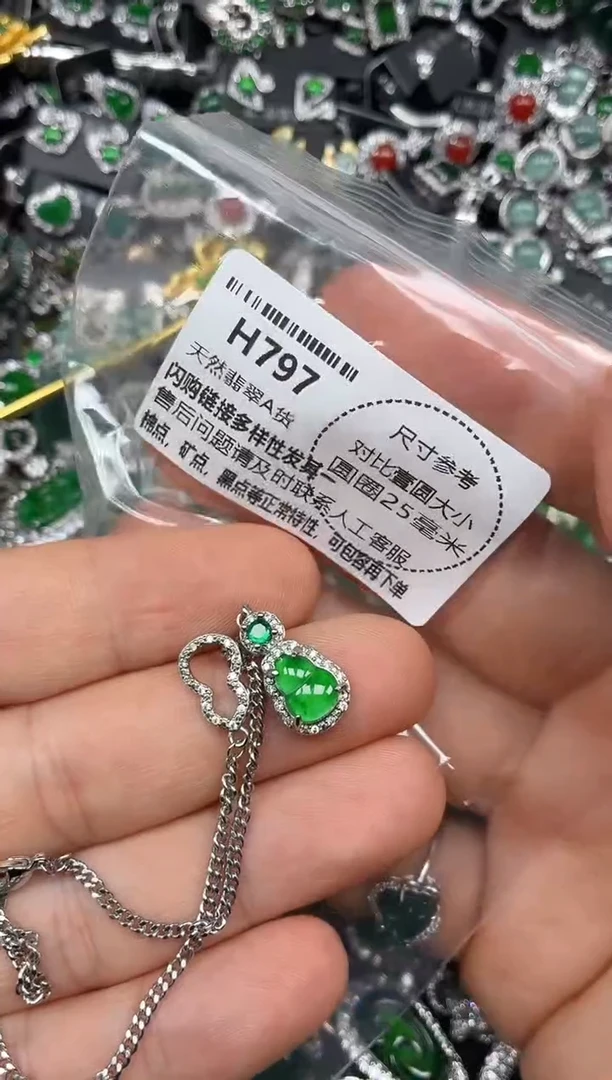 颈饰未镶嵌翡翠H797项链