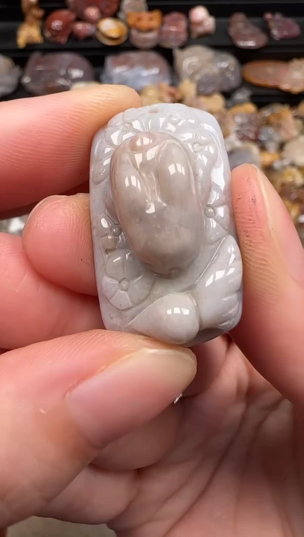 硅化珊瑚（珊瑚玉）未镶嵌颈饰757