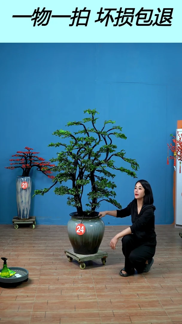 无花朵叁*广东小叶紫檀