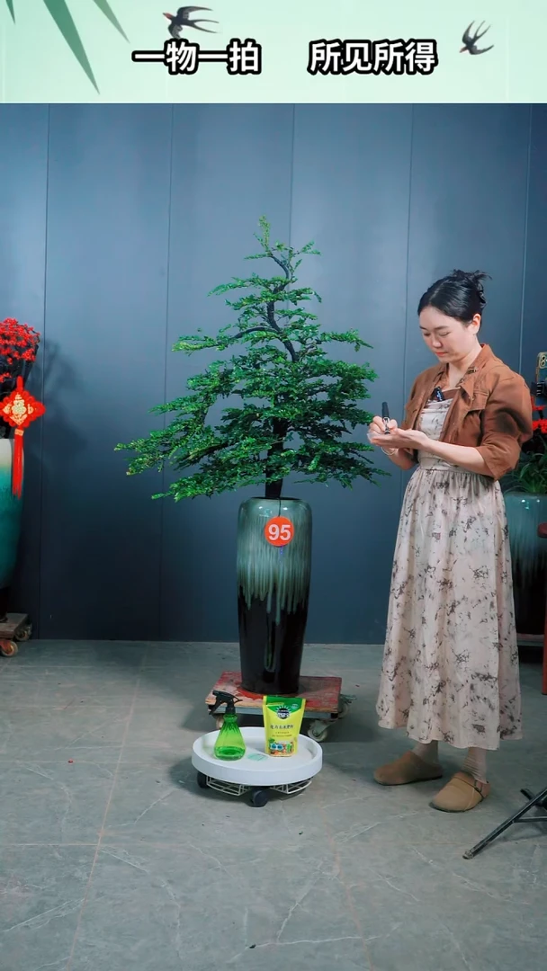 有机玻璃爱*家广东小叶紫檀.95号