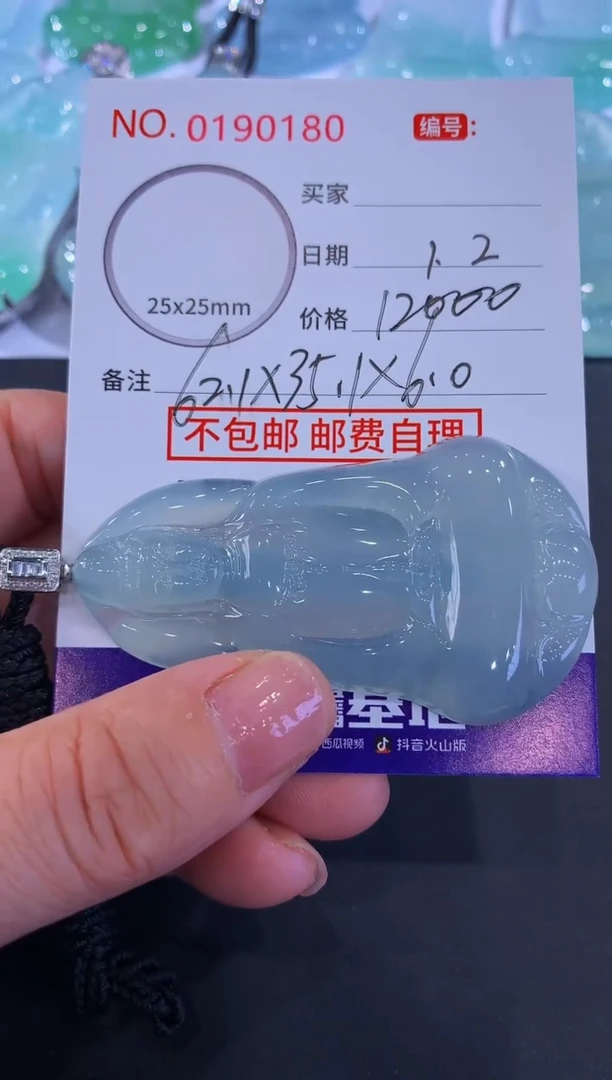 颈饰未镶嵌翡翠飞****斗！