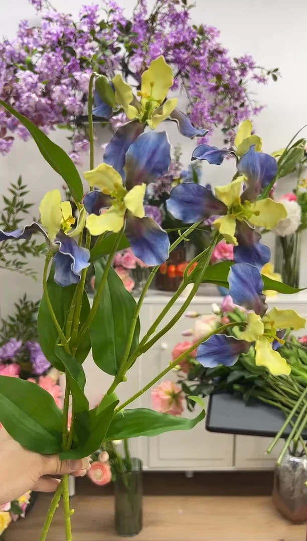 2枝蓝黄鸢尾花花