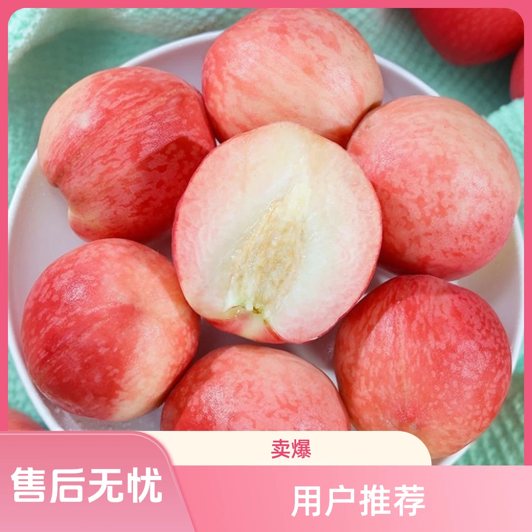 【热卖中】山西脆甜蜜桃水果香甜多汁脆甜爽口产地直发现摘现发水果