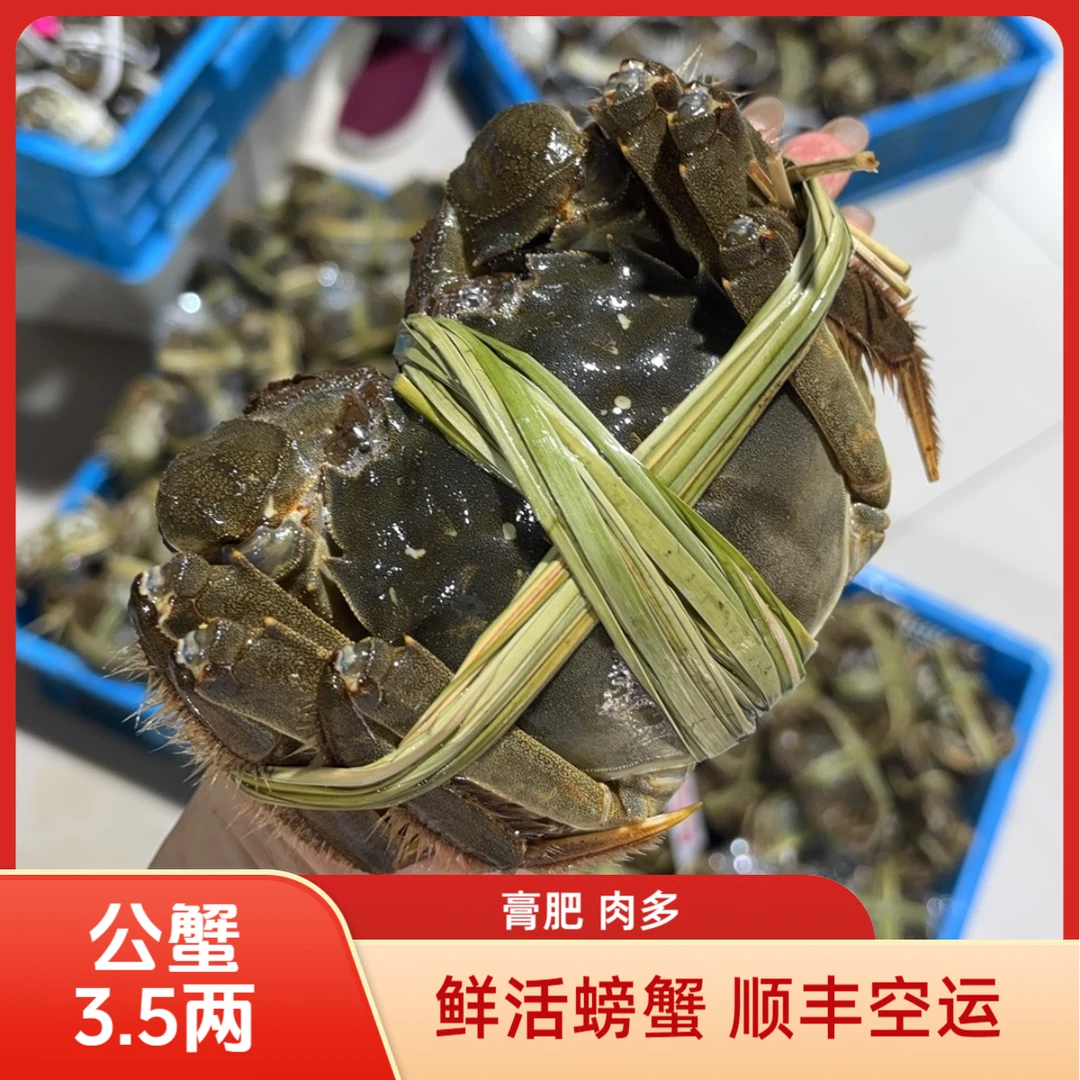 【活蟹】江苏鲜活大闸蟹3.3-3.5两全公蟹10只 鲜活顺丰包邮洪泽发货