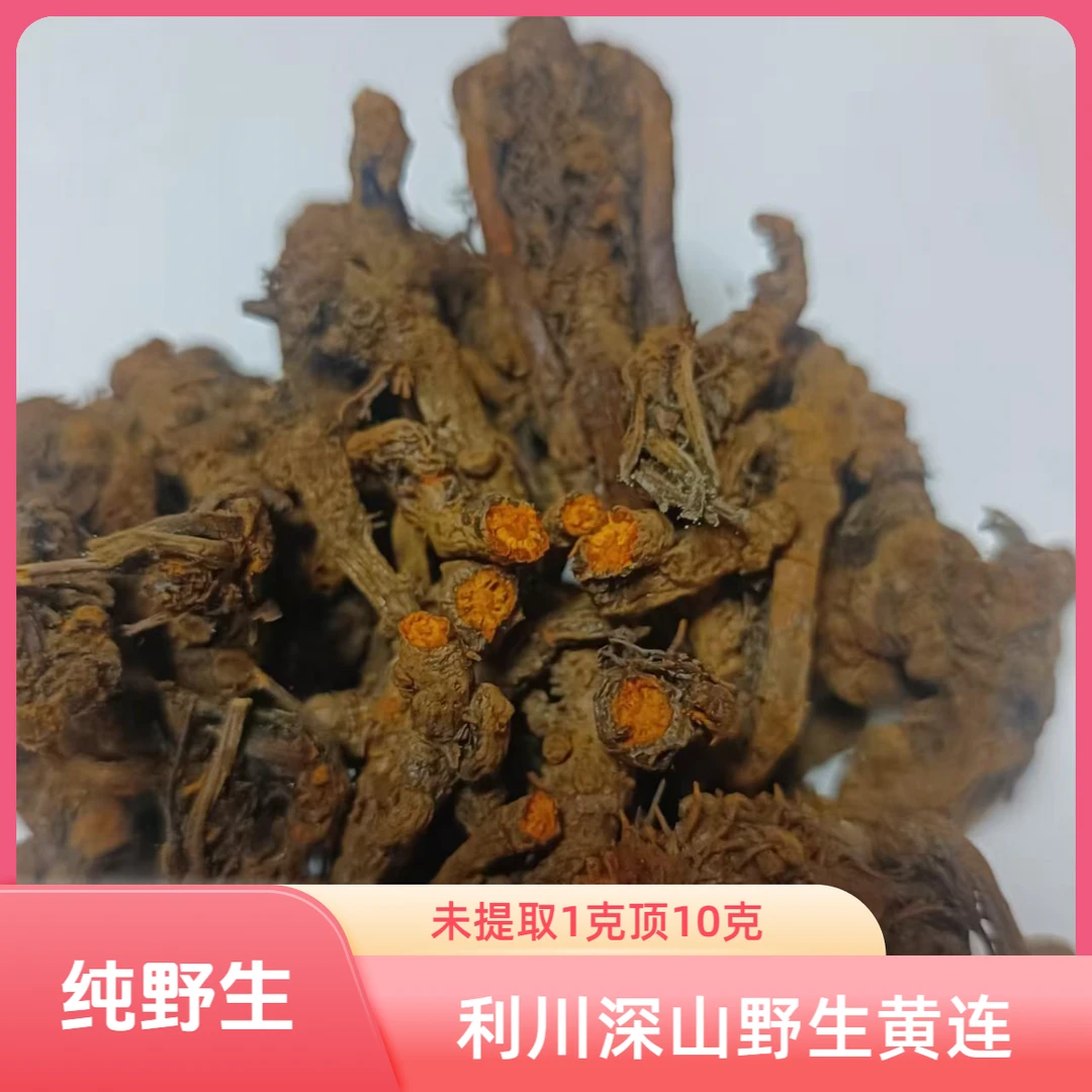 恩施黄连中药材利川黄连高山图片黄连正宗正品干货黄连图片