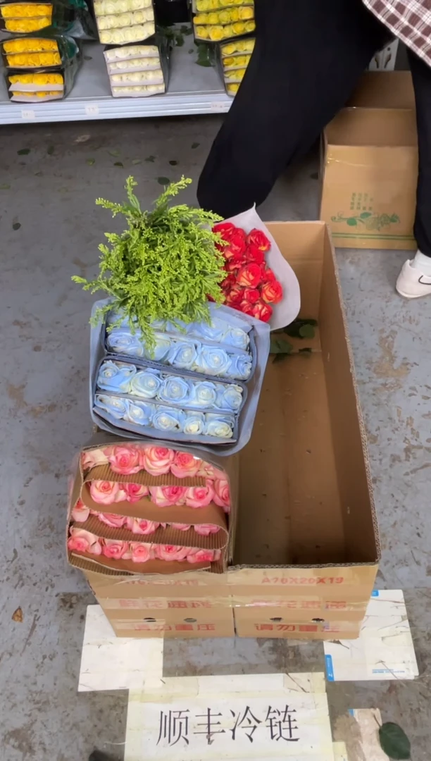 艾沙20枝+碎冰蓝20枝+爱丽丝10枝+黄莺