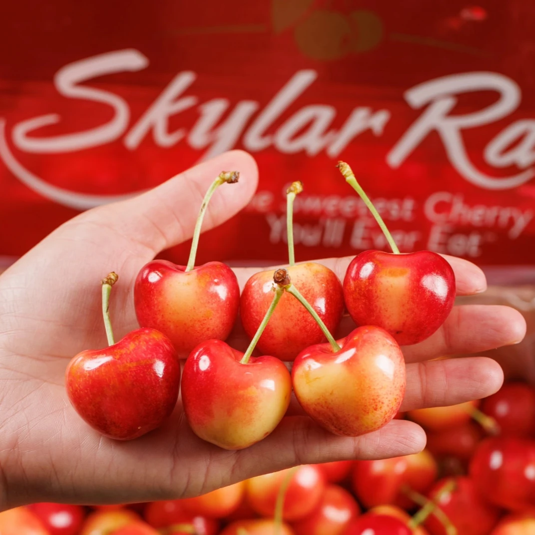 【Skylar Rae】智利空运天空之城金车车厘子2J 内附果径卡