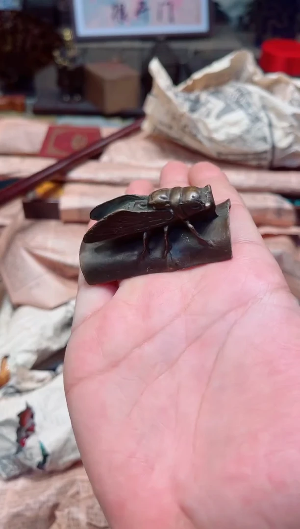 B瑞哥专属高端精品11