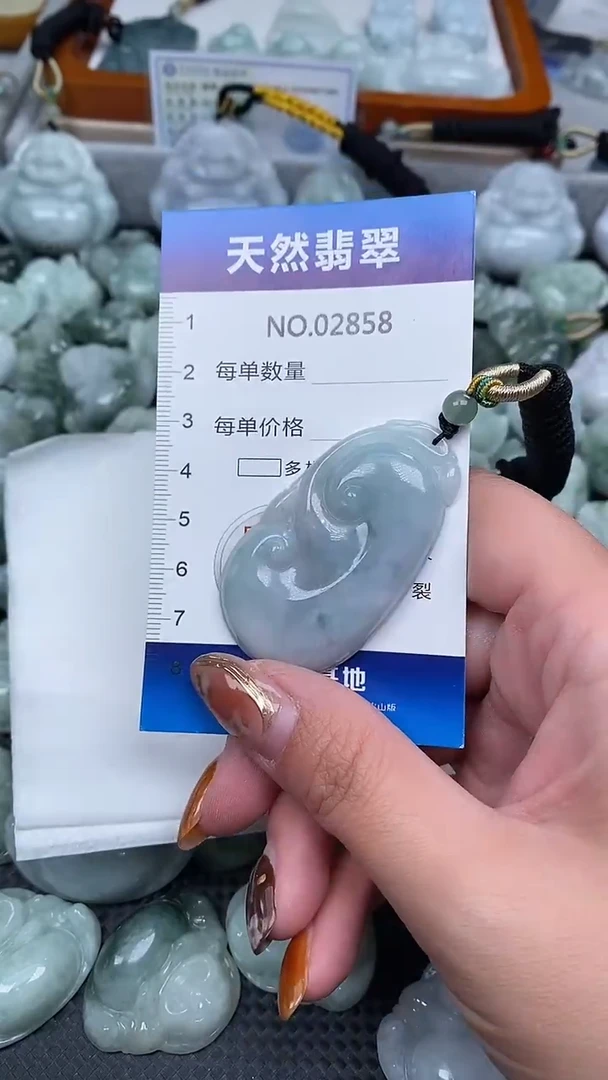颈饰未镶嵌翡翠纯天然A货翡翠2858
