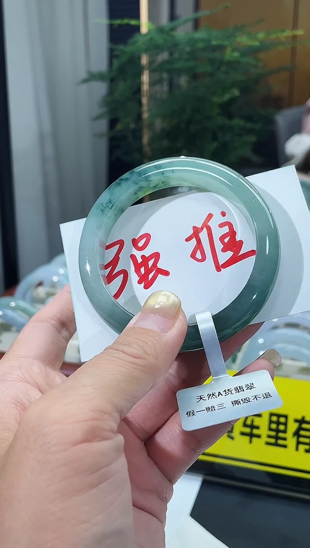 未镶嵌手镯翡翠19号