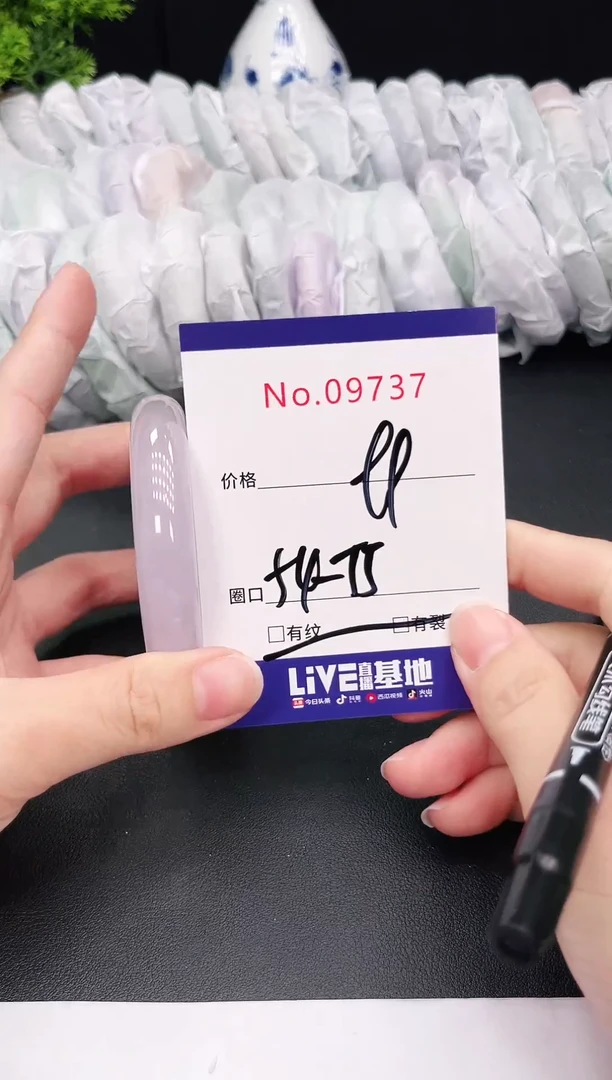 未镶嵌手镯翡翠9737