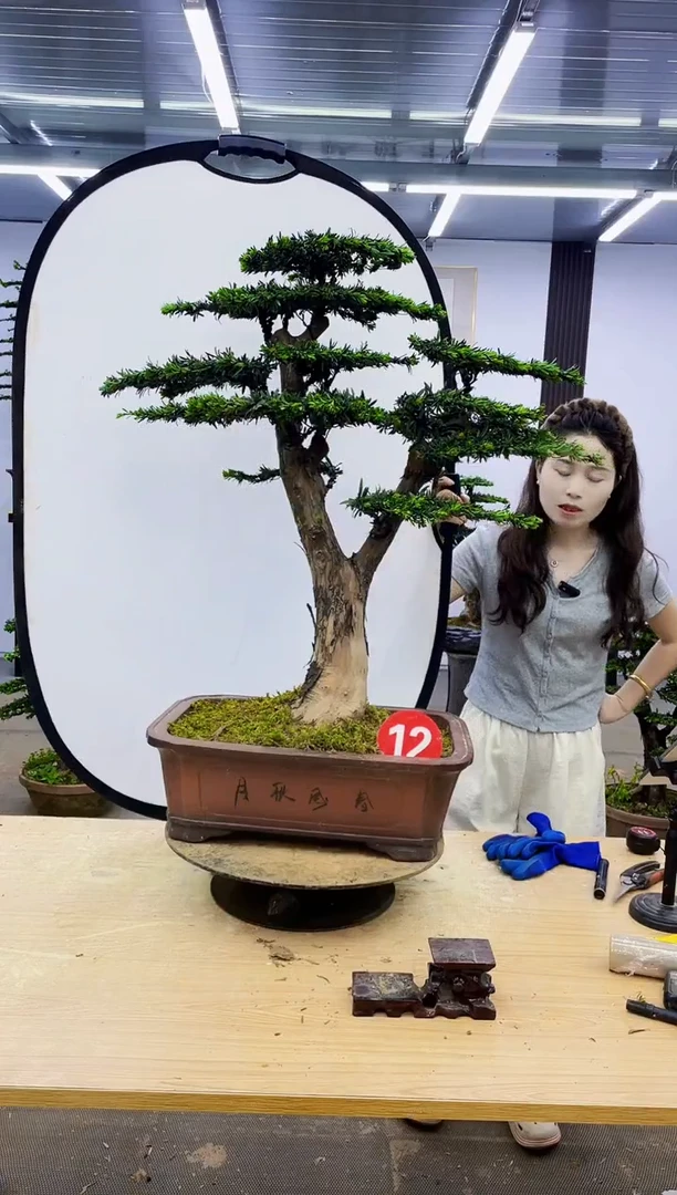 无花朵0000000000000