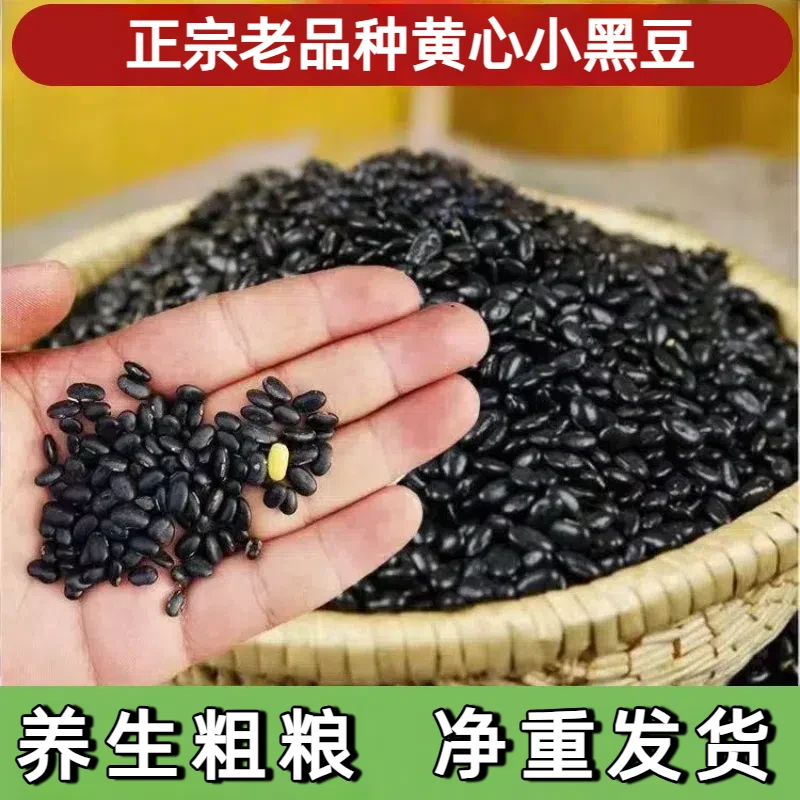 肾形黄心小黑豆老品种农家自种黑豆纯黑豆生黑豆营养杂粮当季新豆