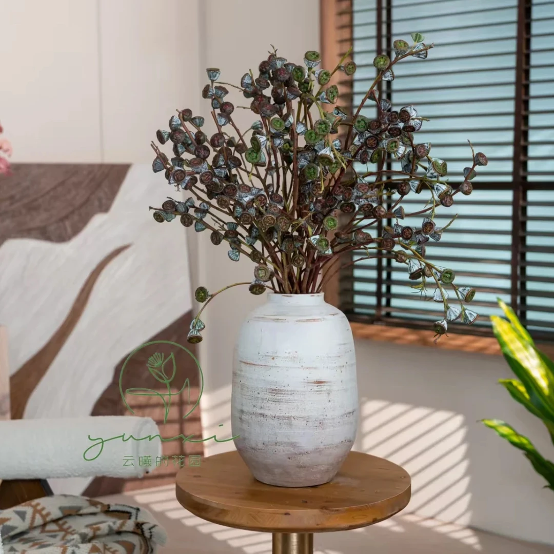 （年宵花果子花束）宝石尤加利果云南直发老果可做干花家用客厅插花