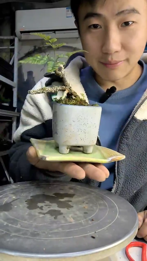 O****)中青园艺一物一拍18