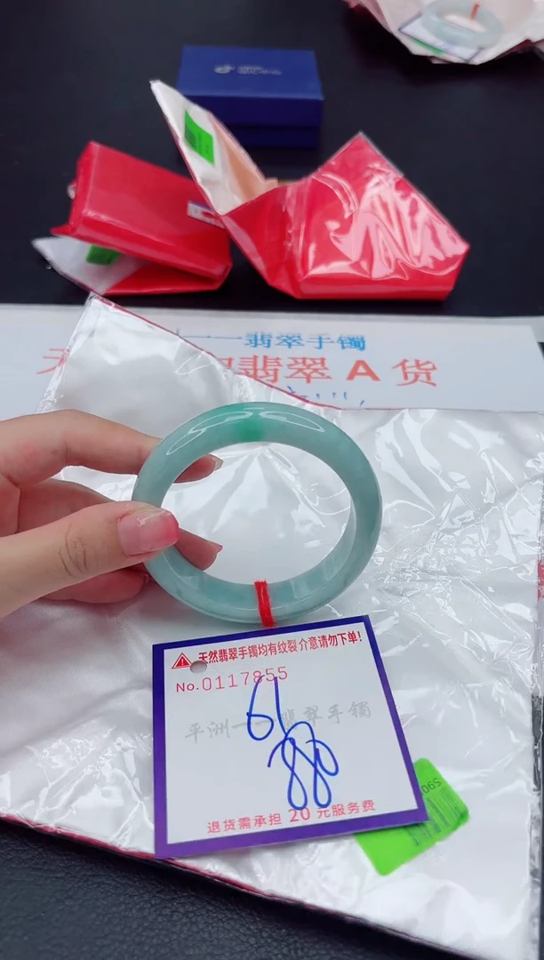 未镶嵌手镯翡翠1