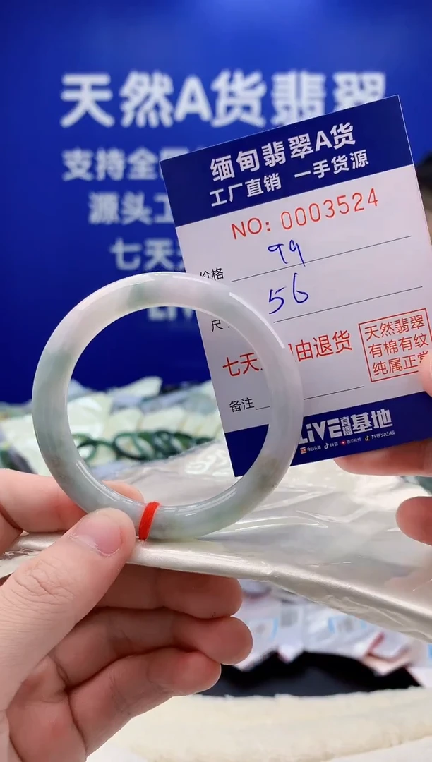 未镶嵌手镯翡翠24